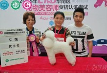 广州宠物学校加盟-广州哪里有宠物训练学校