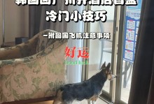 宠物酒店广州-广州宠物酒店式寄养