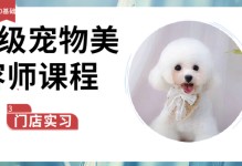 重庆宠物学校那个好-重庆宠物训练学校正规学费多少钱