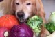 狗狗能吃的蔬菜-狗狗能吃的蔬菜和水果