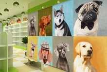 宠物店墙壁-宠物店墙体彩绘图片