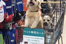 日本宠物师-日本宠物行业