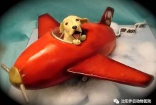宠物人飞机吗-人坐飞机宠物托运要如何办理