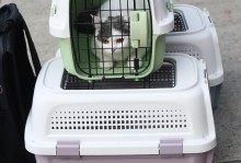宠物航空箱怎么开-宠物航空箱怎么开视频