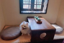 上海酒店带宠物-上海酒店能带宠物狗入住吗