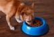 宠物狗挑食-宠物狗挑食,吃哪一种维生素比较好?