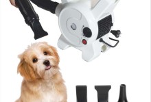 宠物店吹风机-宠物店吹风机声音刺耳会影响宠物听力吗