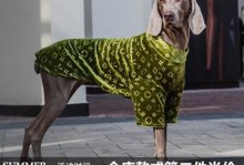 宠物店狗狗衣服-宠物狗衣服多少钱一件
