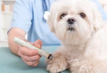 宠物骨喉炎传染给宠物么的简单介绍