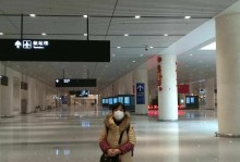 天津机场宠物隔离-天津机场隔离费用多少钱一天