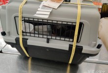 国航宠物托运-国航宠物托运航空箱尺寸