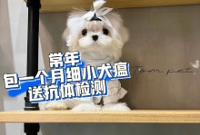 武汉宠物网站-武汉宠物店武汉宠物服务信息