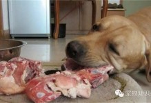 狗吃人事件-有没有狗吃人的案例