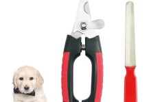 宠物美容师的工具-宠物美容师的工具有哪些