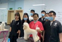 韩国宠物美容学校-韩国宠物美容学校排名
