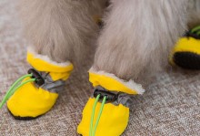 自制宠物靴子-自制宠物鞋子视频