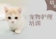 培训宠物上海-上海宠物美容培训学校排行榜