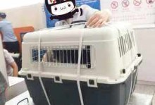 朝阳航空宠物-朝阳航空总医院地址