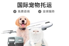 北京宠物出境手续-北京宠物出境手续流程