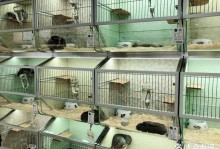 上海宠物生活馆-上海宠物生活馆地址