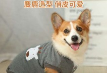 宠物狗衣服多少钱-狗衣服专卖大型犬