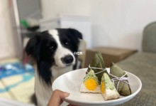 宠物粽子制作-动物粽子怎么画