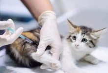 猫一定要打疫苗吗-猫一定要打疫苗吗多少钱