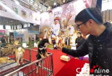 南京宠物中心-南京宠物中心电话