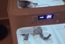 diy宠物烘干机-宠物烘干机使用方法