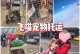 中国入境宠物-中国宠物入境要求