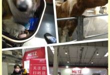 北京进口宠物用品-北京宠物用品批发进货渠道