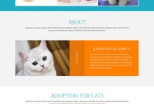 宠物的网页-宠物网页设计模板