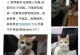 广州天河宠物领养-广州天河宠物领养中心电话