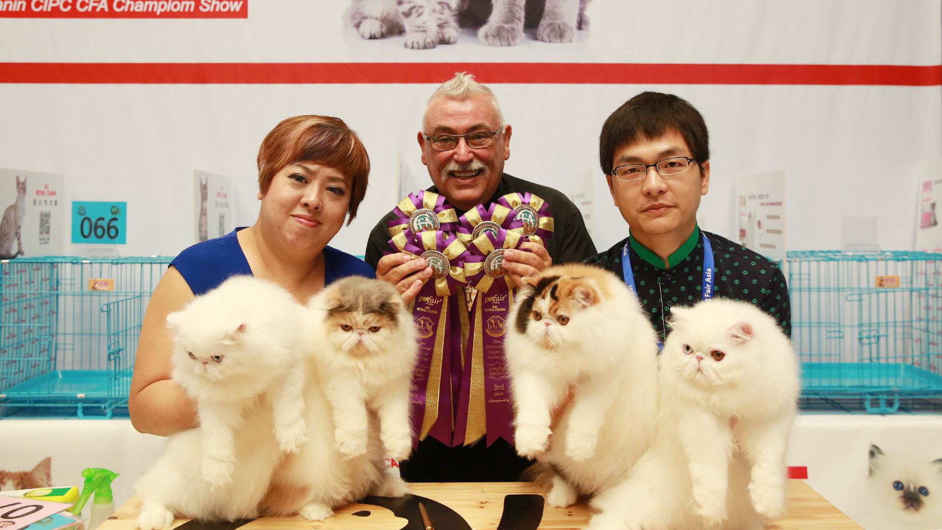 北京国际宠物-北京国际宠物托运