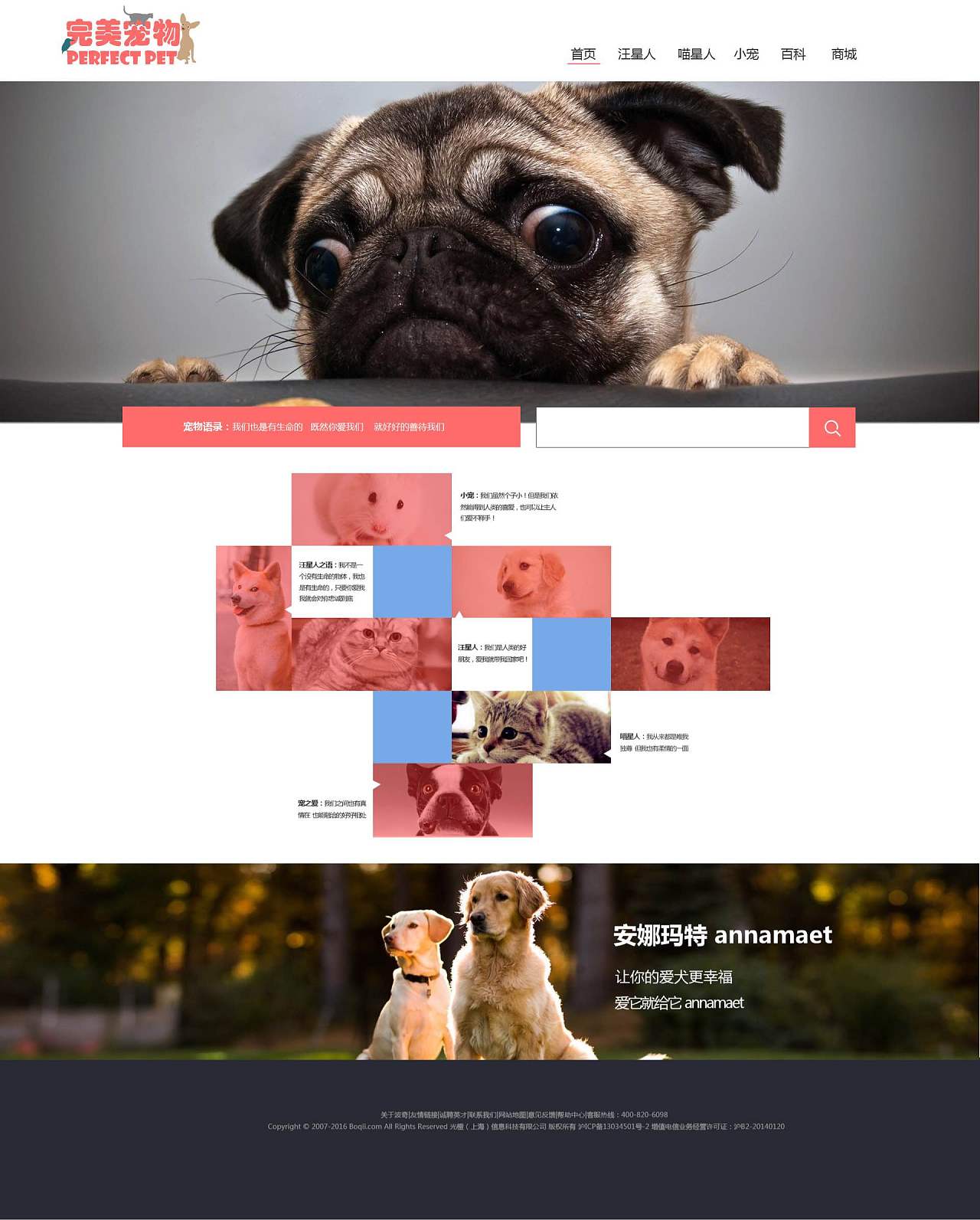宠物的网页-宠物网页设计模板