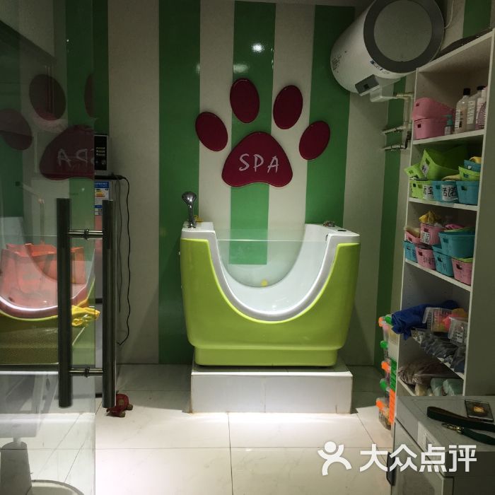 北京酷迪宠物公园地址-北京酷迪宠物医院怎么样